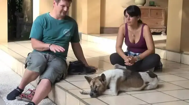 Many examples with dogs