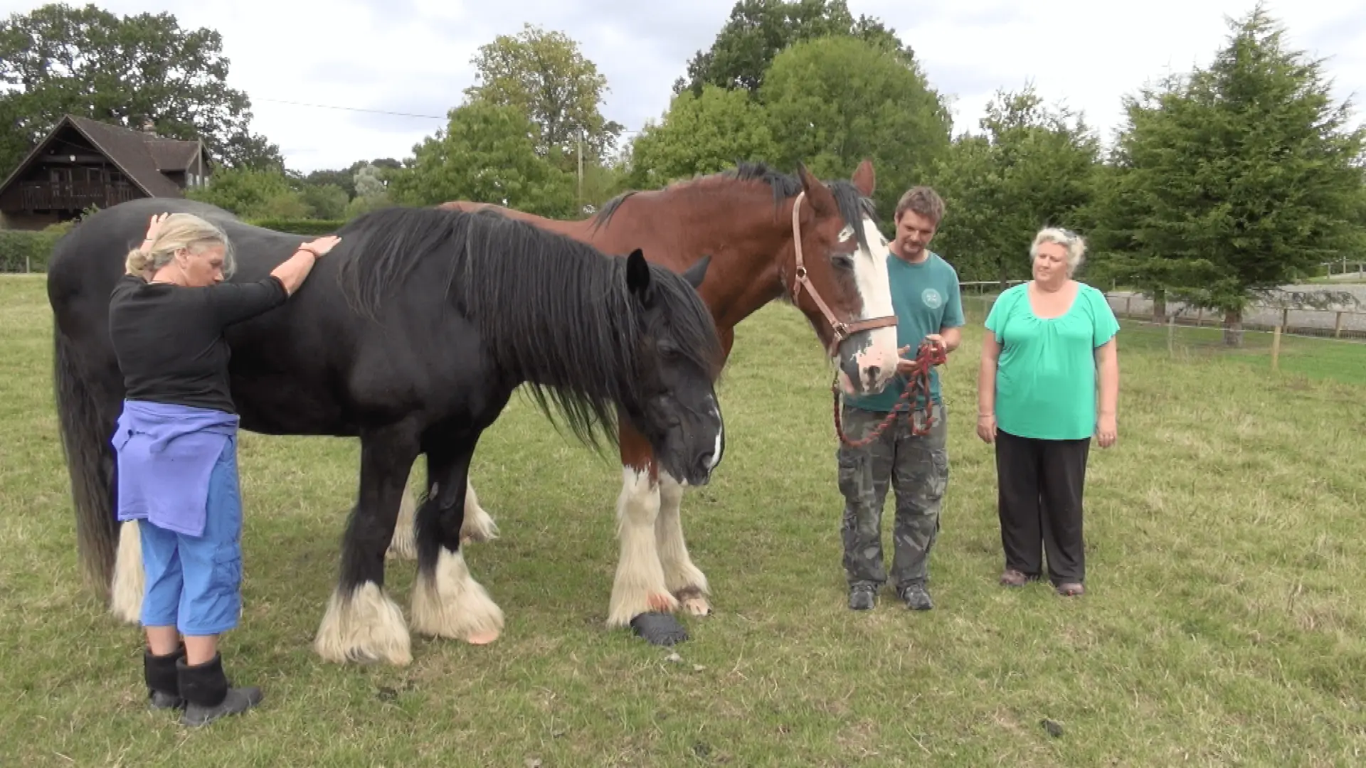 Screen Shot 2017-05-24 at 11.24.55