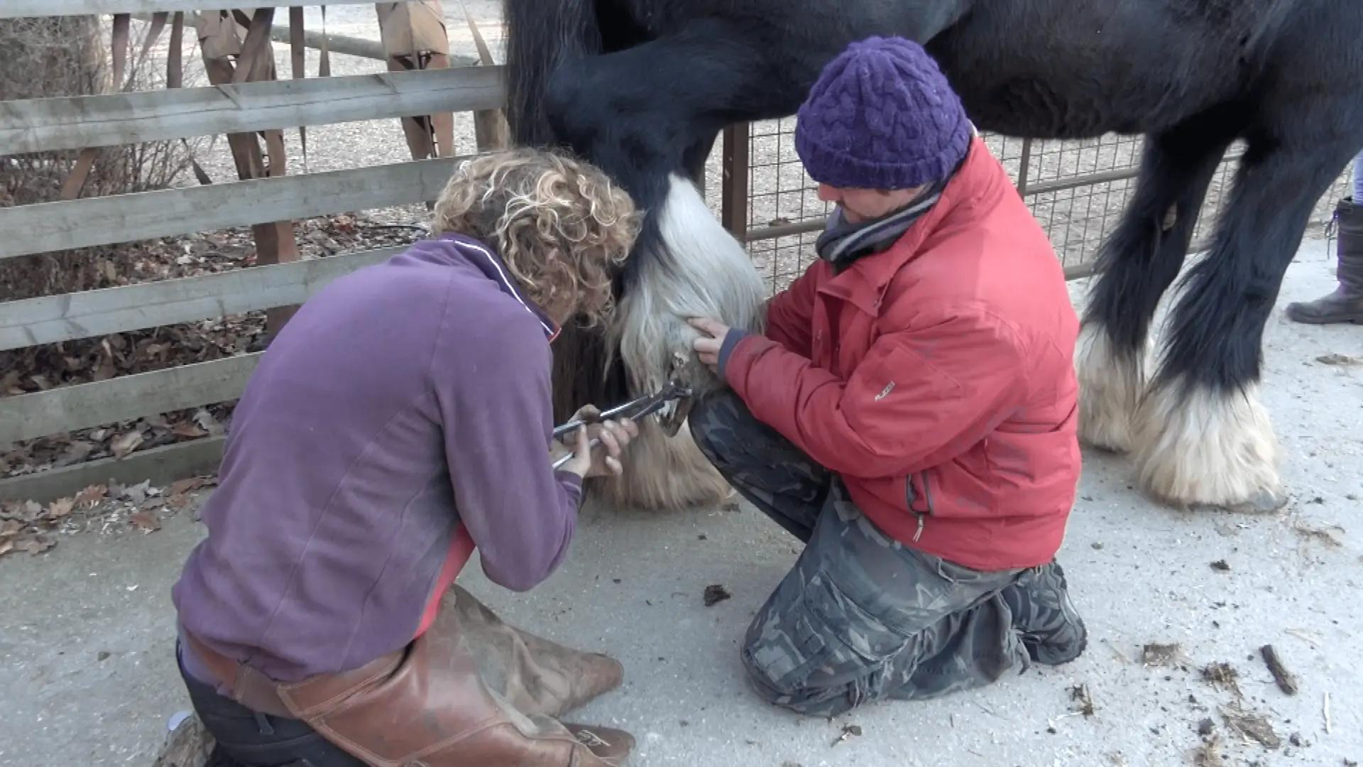 Screen Shot 2017-05-24 at 11.25.33