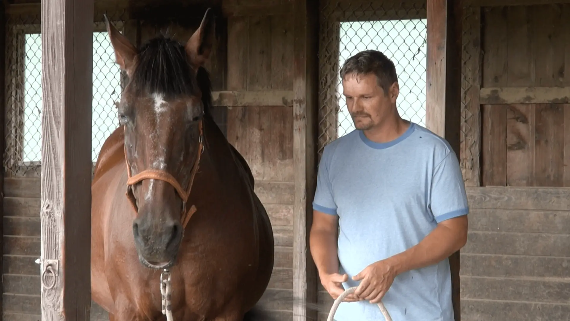 Screen Shot 2017-05-24 at 14.21.24