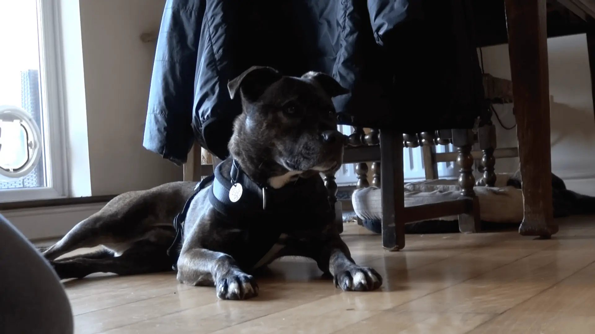 Screen Shot 2017-05-24 at 14.34.32