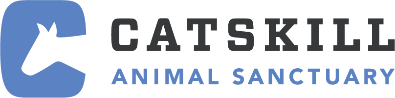 Trust Technique Our Work With Rescue Centres